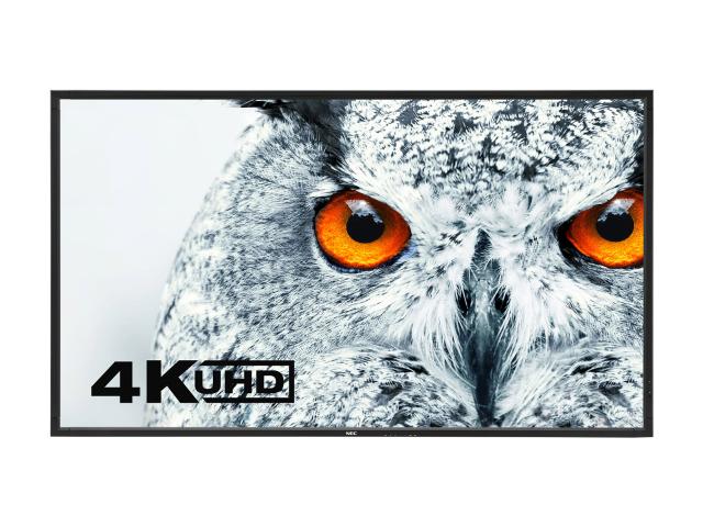 DisplayViewFrontBlack-Owl
