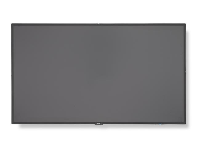 NEC_P484V484_HO-1