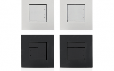 Crestron In-Wall Wireless Keypad, 230 VAC Line Powered CLWI-KPLEX